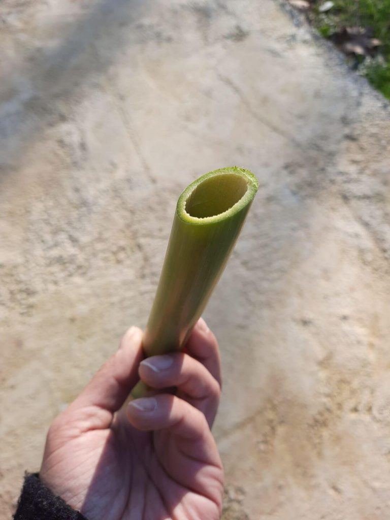 Image #1 from František Kováč